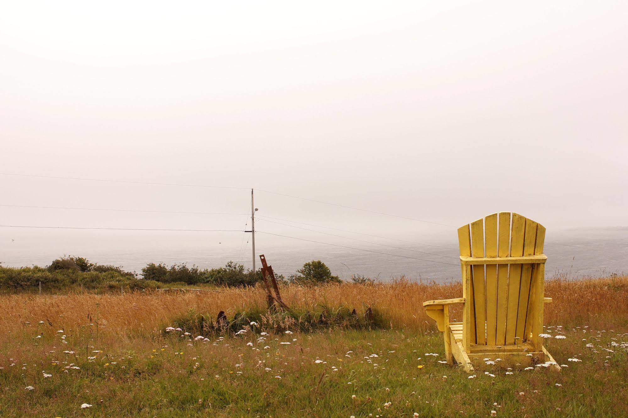 Brier Island Lodge Westport Dış mekan fotoğraf