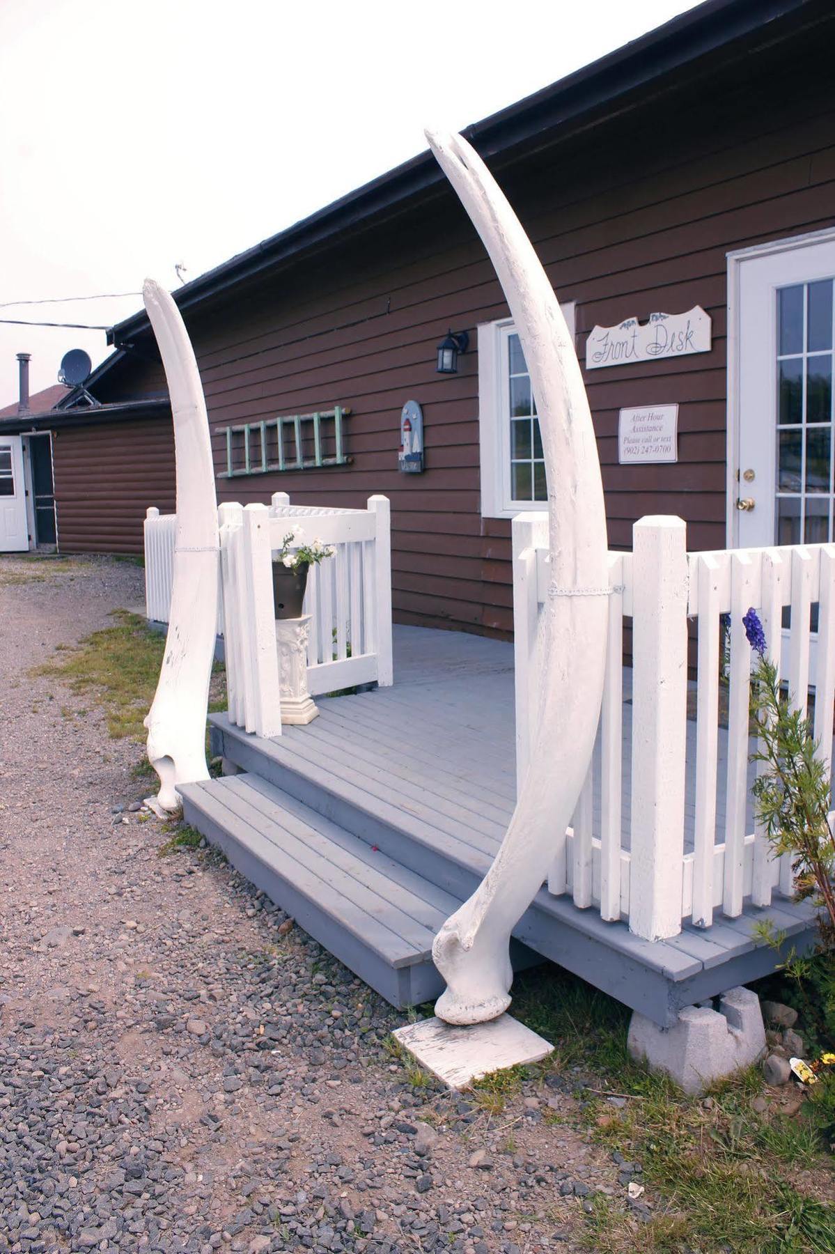Brier Island Lodge Westport Dış mekan fotoğraf