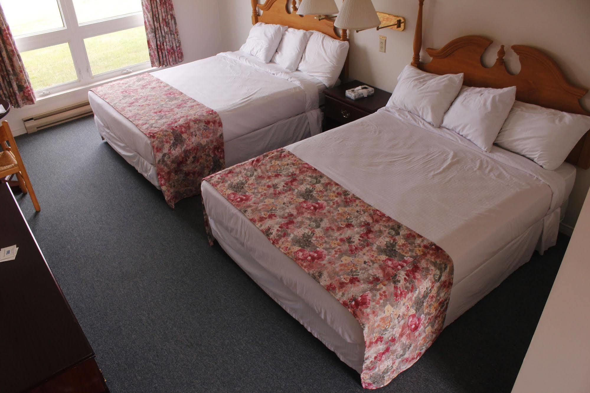 Brier Island Lodge Westport Dış mekan fotoğraf